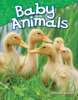Mláďatá zvierat - Baby Animals