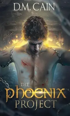 Projekt Fénix - The Phoenix Project