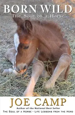 Born Wild - Duša koňa - Born Wild - The Soul of a Horse