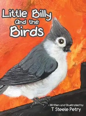 Malý Billy a vtáky - Little Billy and the Birds