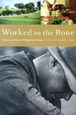 Obrobení až na kosť: História rasy, triedy, moci a privilégií v Kentucky - Worked to the Bone: A History of Race, Class, Power, and Privilege in Kentucky