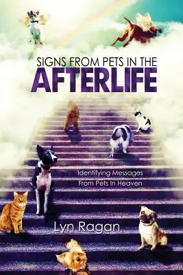 Znamenia z posmrtného života: Identifikácia posolstiev od domácich zvierat v nebi - Signs From Pets In The Afterlife: Identifying Messages From Pets In Heaven