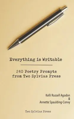 Všetko sa dá napísať: 240 básnických podnetov z vydavateľstva Two Sylvias Press - Everything is Writable: 240 Poetry Prompts from Two Sylvias Press