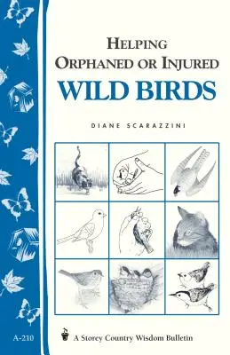 Pomoc osirelým alebo zraneným voľne žijúcim vtákom: Storey's Country Wisdom Bulletin A-210 - Helping Orphaned or Injured Wild Birds: Storey's Country Wisdom Bulletin A-210
