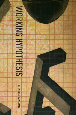 Pracovná hypotéza - Working Hypothesis