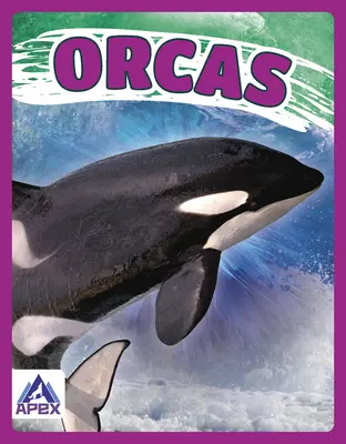 Kosatky - Orcas