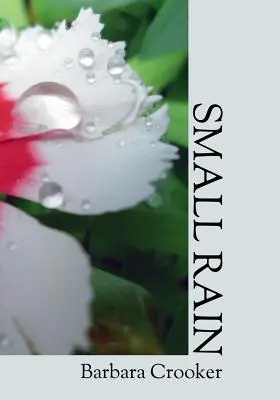 Malý dážď - Small Rain