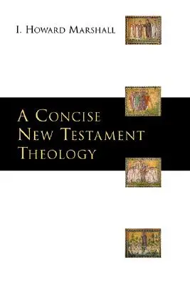 Stručná novozákonná teológia - A Concise New Testament Theology