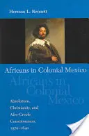 Afričania v koloniálnom Mexiku: Absolutizmus, kresťanstvo a afro-kreolské povedomie, 1570-1640 - Africans in Colonial Mexico: Absolutism, Christianity, and Afro-Creole Consciousness, 1570-1640
