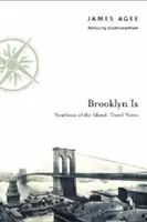 Brooklyn Is: Juhovýchod ostrova: Cestovné poznámky - Brooklyn Is: Southeast of the Island: Travel Notes