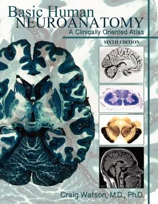 Základy neuroanatómie človeka: Klinicky orientovaný atlas - Basic Human Neuroanatomy: A Clinically Oriented Atlas