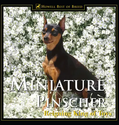 Miniatúrny pinč: Vládnuci kráľ hračiek - Miniature Pinscher: Reigning King of Toys