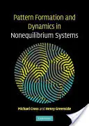 Tvorba vzorov a dynamika v nerovnovážnych systémoch - Pattern Formation and Dynamics in Nonequilibrium Systems