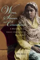 Manželky, otroci a konkubíny: Dejiny ženskej spodnej vrstvy v holandskej Ázii - Wives, Slaves, and Concubines: A History of the Female Underclass in Dutch Asia