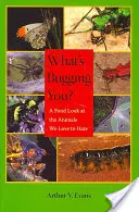 Čo ťa otravuje? Láskavý pohľad na zvieratá, ktoré radi nenávidíme - What's Bugging You?: A Fond Look at the Animals We Love to Hate