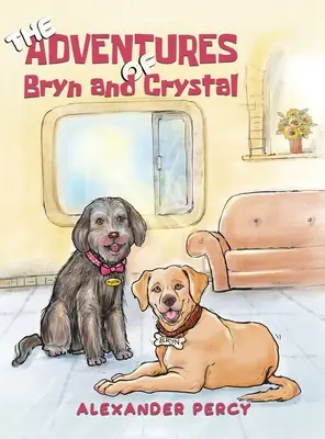 Dobrodružstvá Bryn a Crystal - The Adventures of Bryn and Crystal