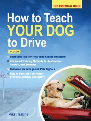 Ako naučiť psa šoférovať: Základná príručka: Ako naučiť vodiča jazdiť? - How to Teach Your Dog to Drive: The Essential Guide