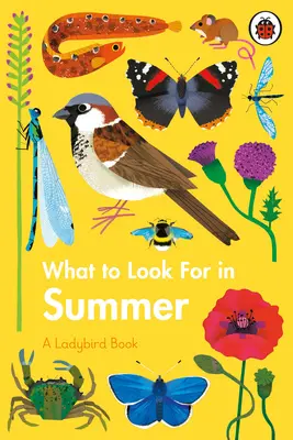 Na čo sa zamerať v lete - What to Look For in Summer