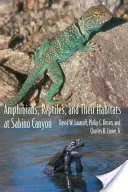 Obojživelníky, plazy a ich biotopy v kaňone Sabino - Amphibians, Reptiles, and Their Habitats at Sabino Canyon