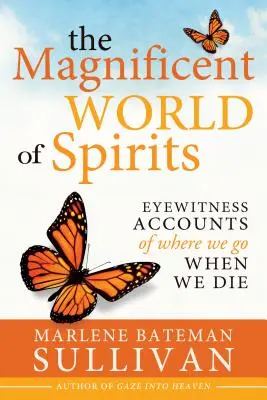 Veľkolepý svet duchov: Očité svedectvo o tom, kam ideme po smrti - The Magnificient World of Spirits: Eyewitness Accounts of Where We Go When We Die