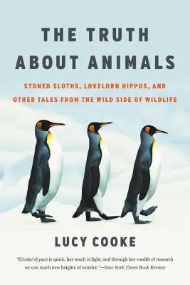 Pravda o zvieratách: a iné príbehy z divokej strany divokej prírody - The Truth about Animals: Stoned Sloths, Lovelorn Hippos, and Other Tales from the Wild Side of Wildlife