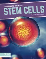 Kmeňové bunky - Stem Cells