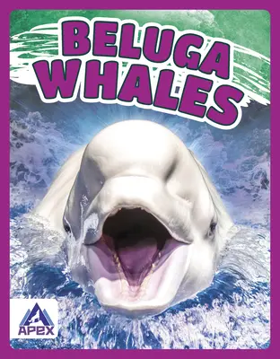 Veľryby beluga - Beluga Whales