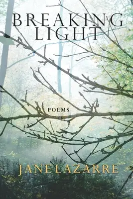 Prelomenie svetla - Breaking Light