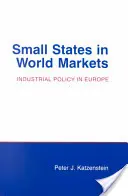 Malé štáty na svetových trhoch: Politické násilie na Bali - Small States in World Markets: Political Violence in Bali