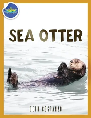 Morská vydra vo veku 2-4 rokov - Sea Otter ages 2-4