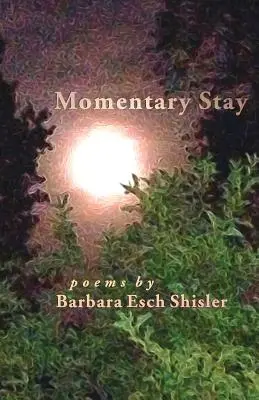 Chvíľkový pobyt: Básne - Momentary Stay: Poems