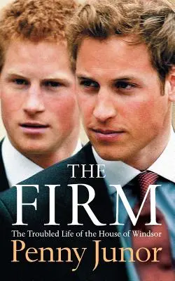The Firm (Pevnosť) - The Firm