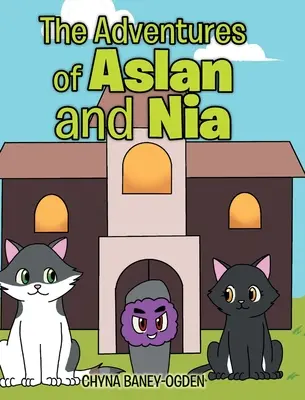 Dobrodružstvá Aslana a Nii - The Adventures of Aslan and Nia