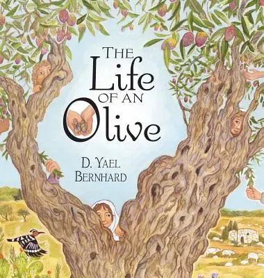 Život olivy - The Life of an Olive