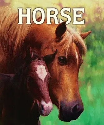 Kôň - Horse