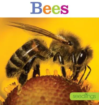 Semenáčiky: Včely - Seedlings: Bees