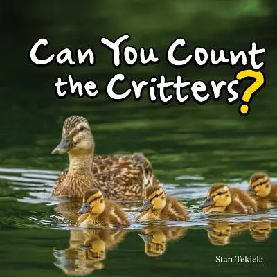 Dokážete spočítať vtáky? - Can You Count the Critters?