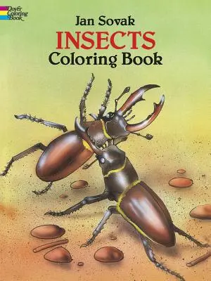 Hmyz Omaľovánky - Insects Coloring Book