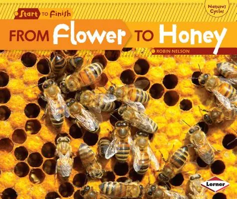 Od kvetu k medu - From Flower to Honey