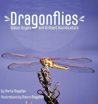 Vážky: Vodní anjeli a brilantné bioindikátory - Dragonflies: Water Angels and Brilliant Bioindicators