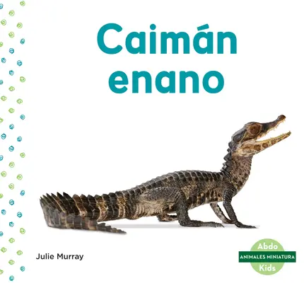 Caimn Enano (Kajman trpasličí) - Caimn Enano (Dwarf Caiman)