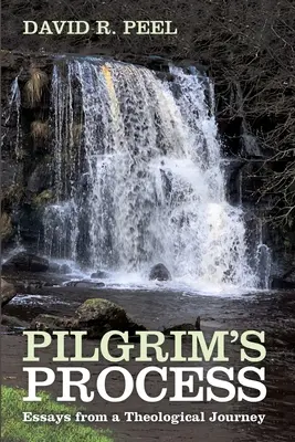 Pútnický proces - Pilgrim's Process