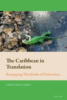 Karibik v preklade; premapovanie prahov dislokácie - The Caribbean in Translation; Remapping Thresholds of Dislocation