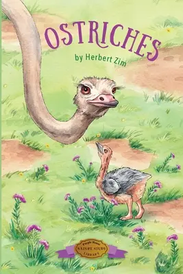 Pštrosy - Ostriches