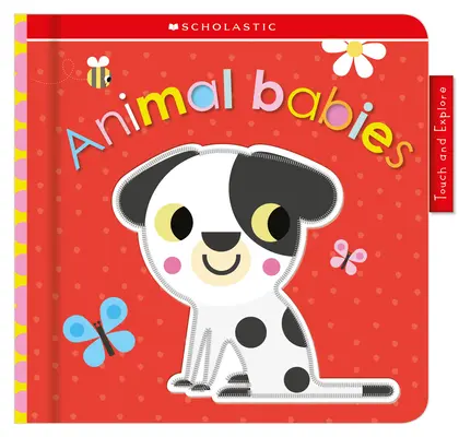 Zvieracie bábätká: Scholastic Early Learners (Dotýkaj sa a objavuj) - Animal Babies: Scholastic Early Learners (Touch and Explore)