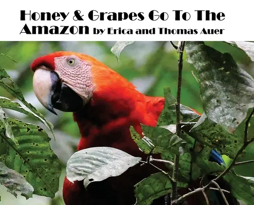 Med a hrozno idú do Amazonky - Honey & Grapes Go To The Amazon