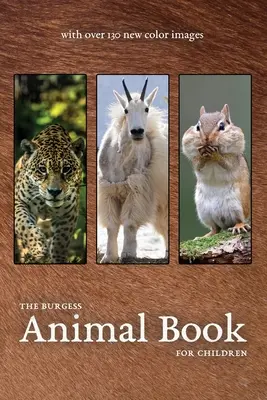 Burgessova kniha o zvieratách s novými farebnými obrázkami - The Burgess Animal Book with new color images
