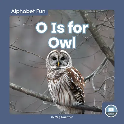 O je pre sovu - O Is for Owl