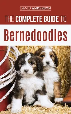 Úplný sprievodca bernolákovcami: Všetko, čo potrebujete vedieť, aby ste úspešne vychovali šteňa bernedoodla! - The Complete Guide to Bernedoodles: Everything you need to know to successfully raise your Bernedoodle puppy!