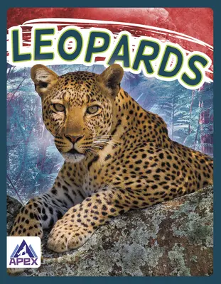 Leopardy - Leopards